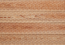 NFWOOD@iO igʐ^