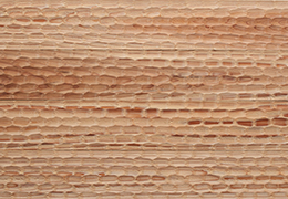 NFWOOD@iO `Eiʐ^