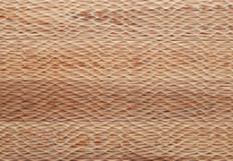 NFWOOD@iO LTʐ^